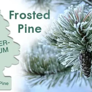 Tani WUNDER-BAUM Odświeżacz wunder baum - frosted pine